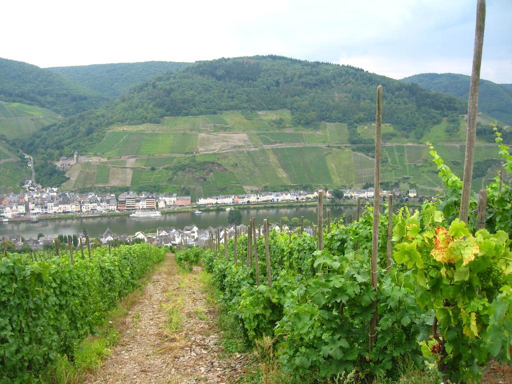 Haus Anna Villa Zell an der Mosel Eksteriør bilde