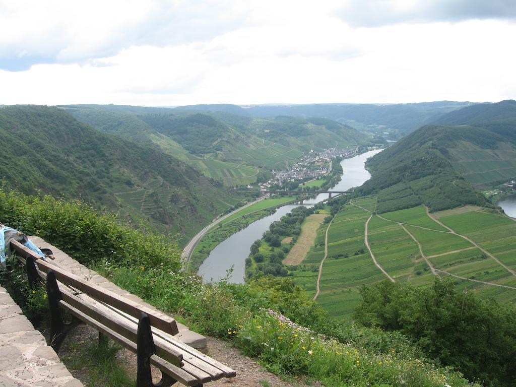 Haus Anna Villa Zell an der Mosel Eksteriør bilde